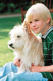 simon camden is played by david...